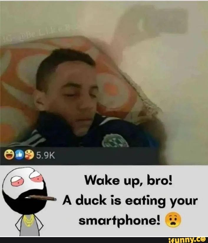 5.9K Wake up, bro! A duck is eating your smartphone! - iFunny