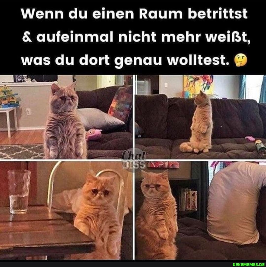 Wenn du einen Raum betrittst
& aufeinmal nicht mehr weißt, was du dort genau wolltest.
PR