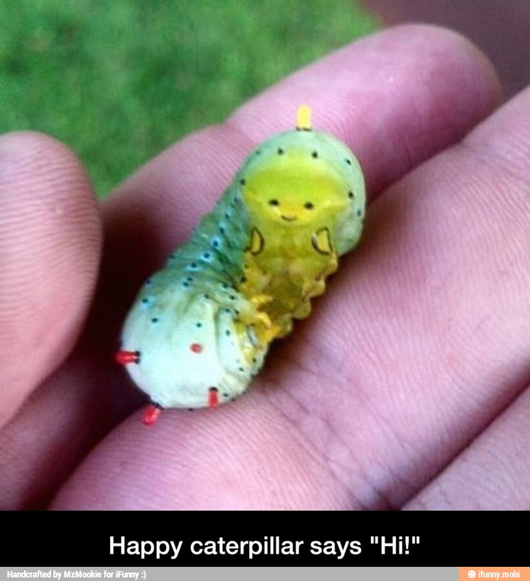Happy caterpillar says "Hi!" - Happy caterpillar says "Hi!"