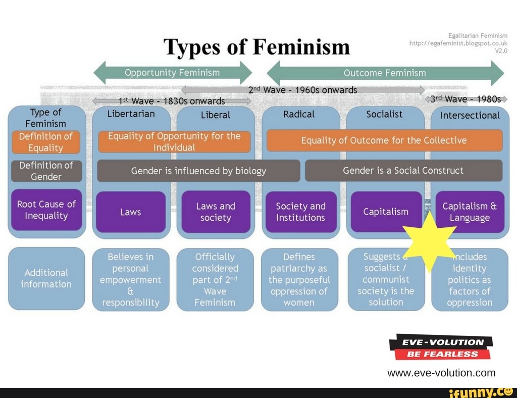 Types of Feminism Opportunity Fem tcome Feminism Definition of Gender ...