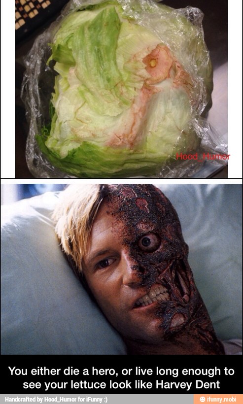 You either die a hero, or live long enough to
see your lettuce look like Harvey Dent - You either die a hero, or live long enough to see your lettuce look like Harvey Dent