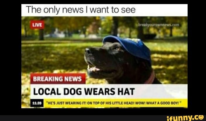 The only news I want to see
"HE'S JUST WEARING ITI ON TOP OF HIS LITTLE HEAD! WOW! WHAT A GOOD BOY!