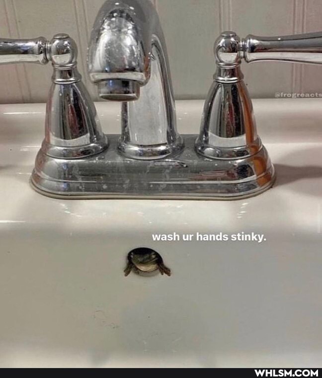 wash ur hands stinky.
