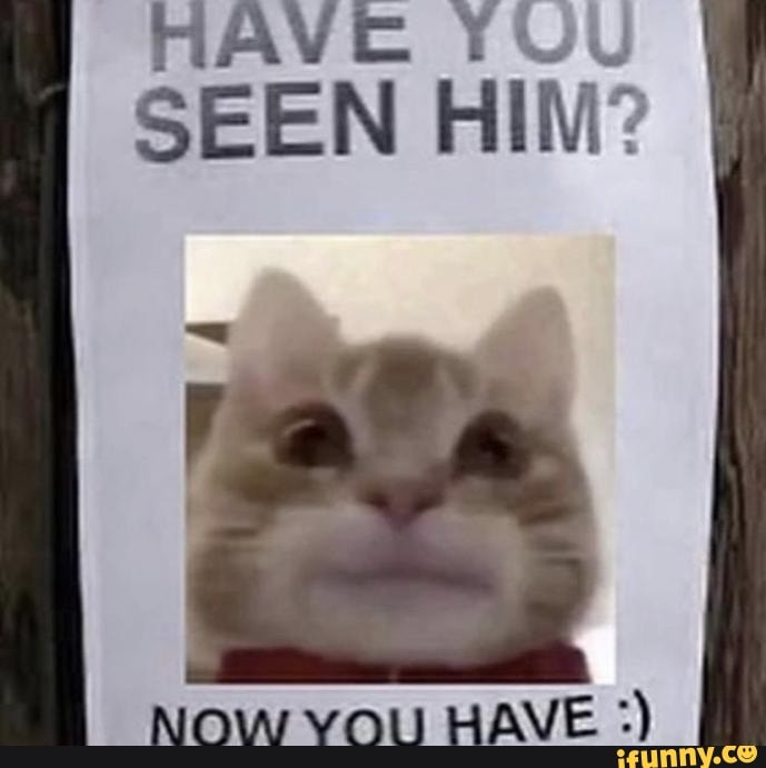 CC You
AV SEEN HIM:
Now vou HAVE
