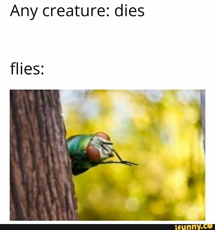 Any creature: dies
flies:
