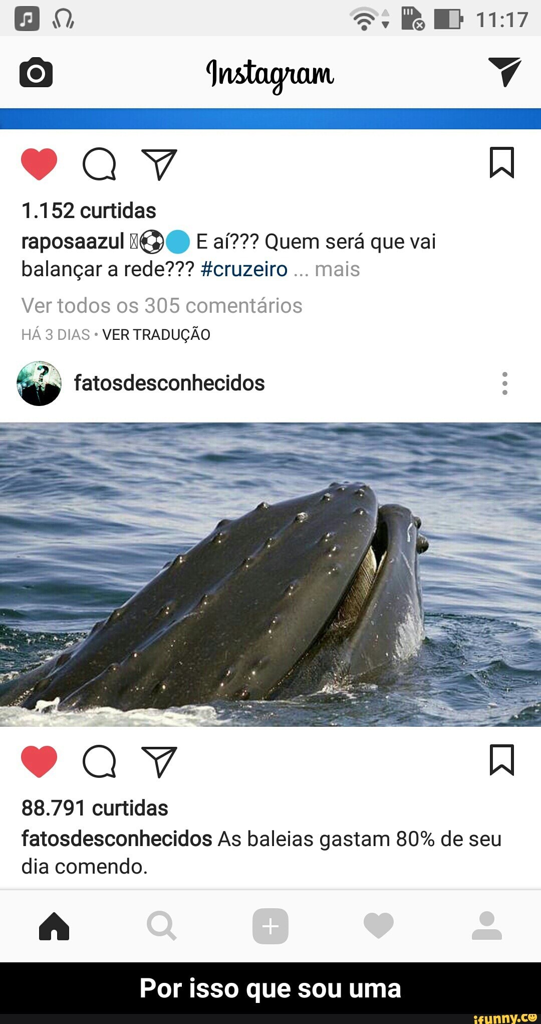 1.152 curtidas
raposaazul i) E ai??? Quem sera que vai
balangar a rede??? #cruzeiro
mais
Ver todos os 305 comentarios
VER TRADUÇÃO
"o fatosdesconhecidos e
88.791 curtidas
fatosdesconhecidos As baleias gastam 80% de seu
dia comendo.
Por isso que sou uma - Por isso que sou uma