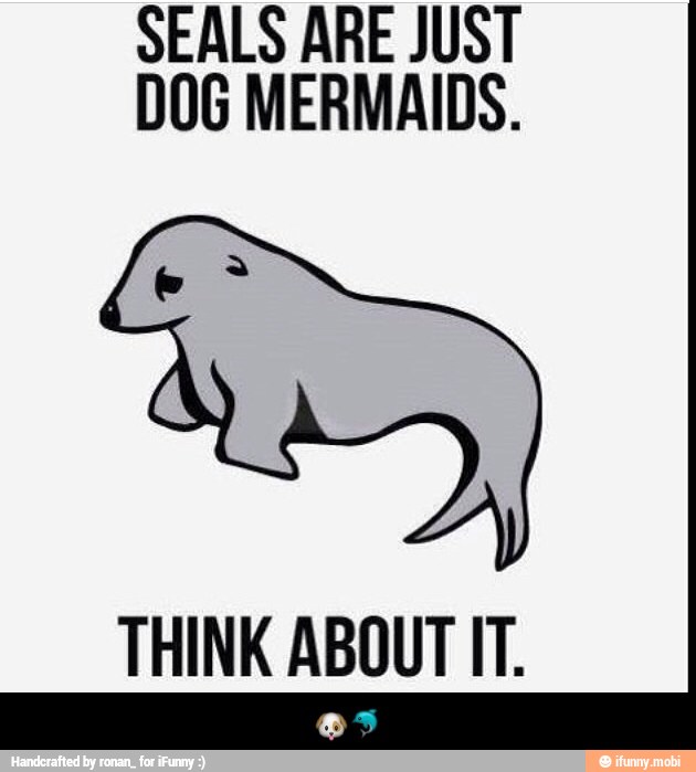 SEALS ARE JUST
DOG MERMAIDS.
THINK ABOUT IT. - πΆπ¬