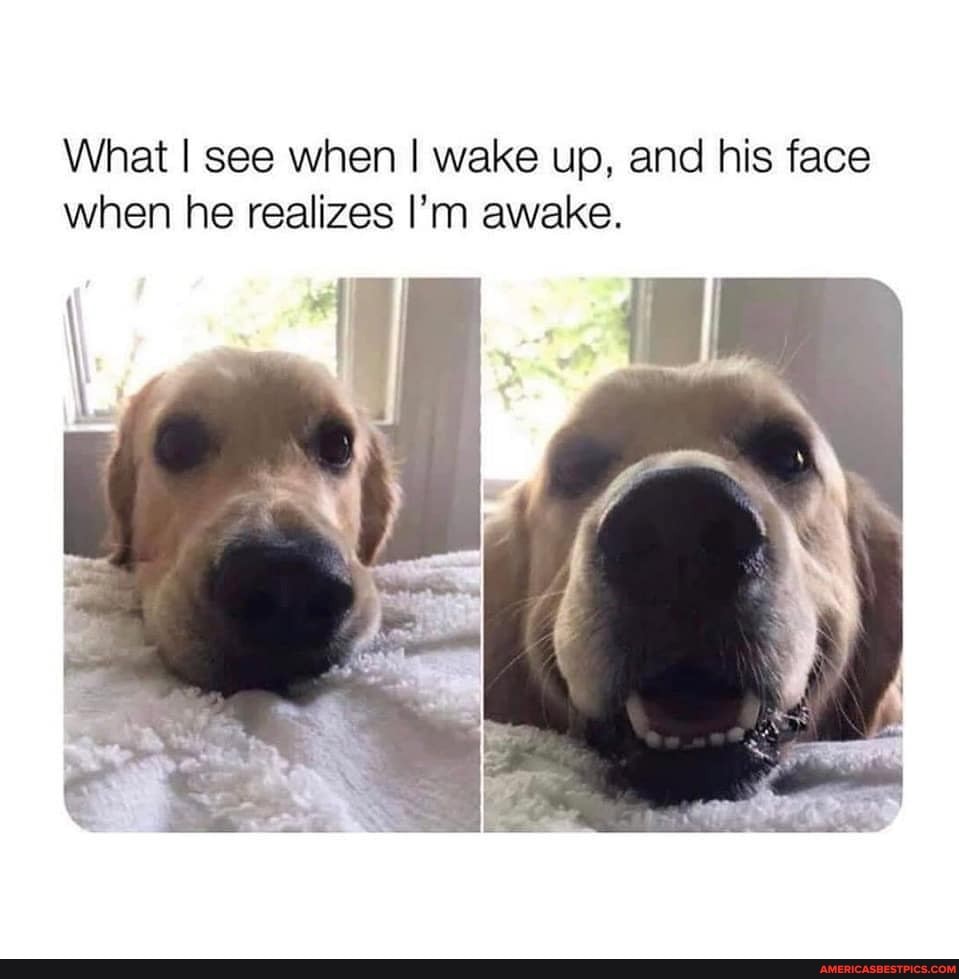 What I see when I wake up, and his face when he. realizes I'm awake.