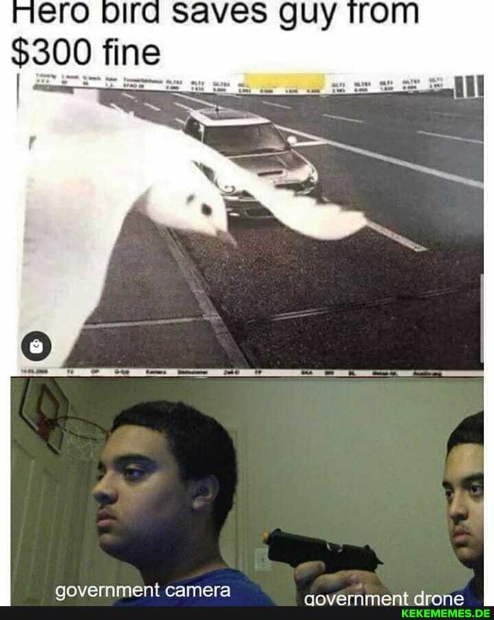 Mere Olfel Saves GUY
$300 fine
