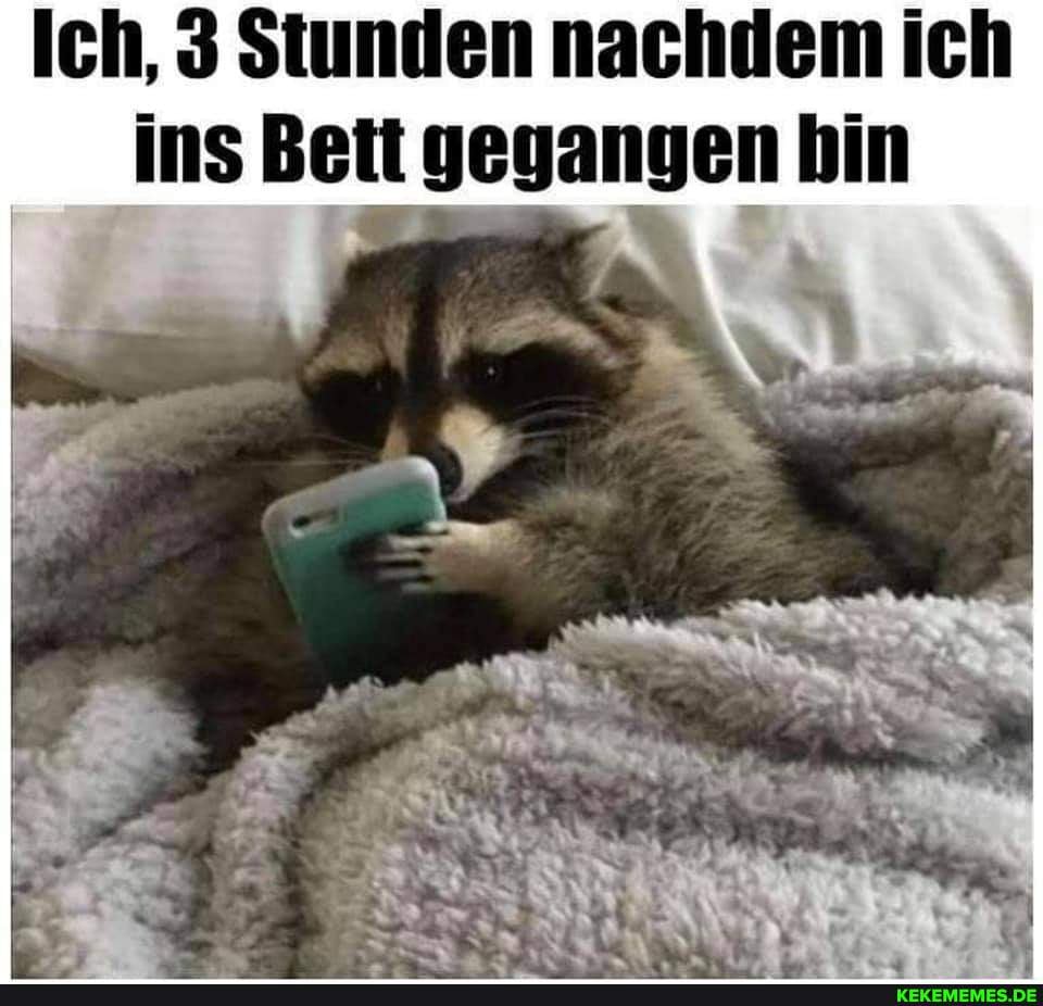 Ich, 3 Stunden nachdem ich ins Beit gegangen bin