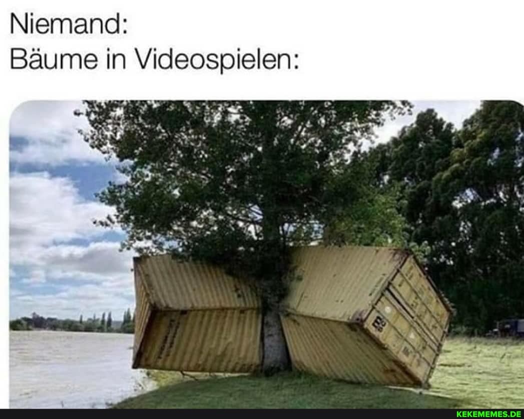 Niemand:
Bäume in