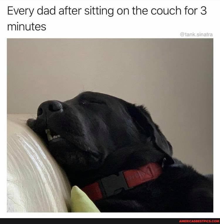 Every dad after sitting on the couch for 3
minutes
Gtank sinatra