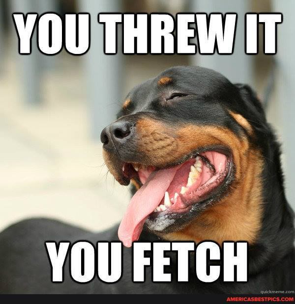 YOU THREW IT
ESE,
YOU FETCH
