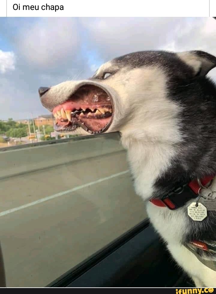 Oi meu chapa