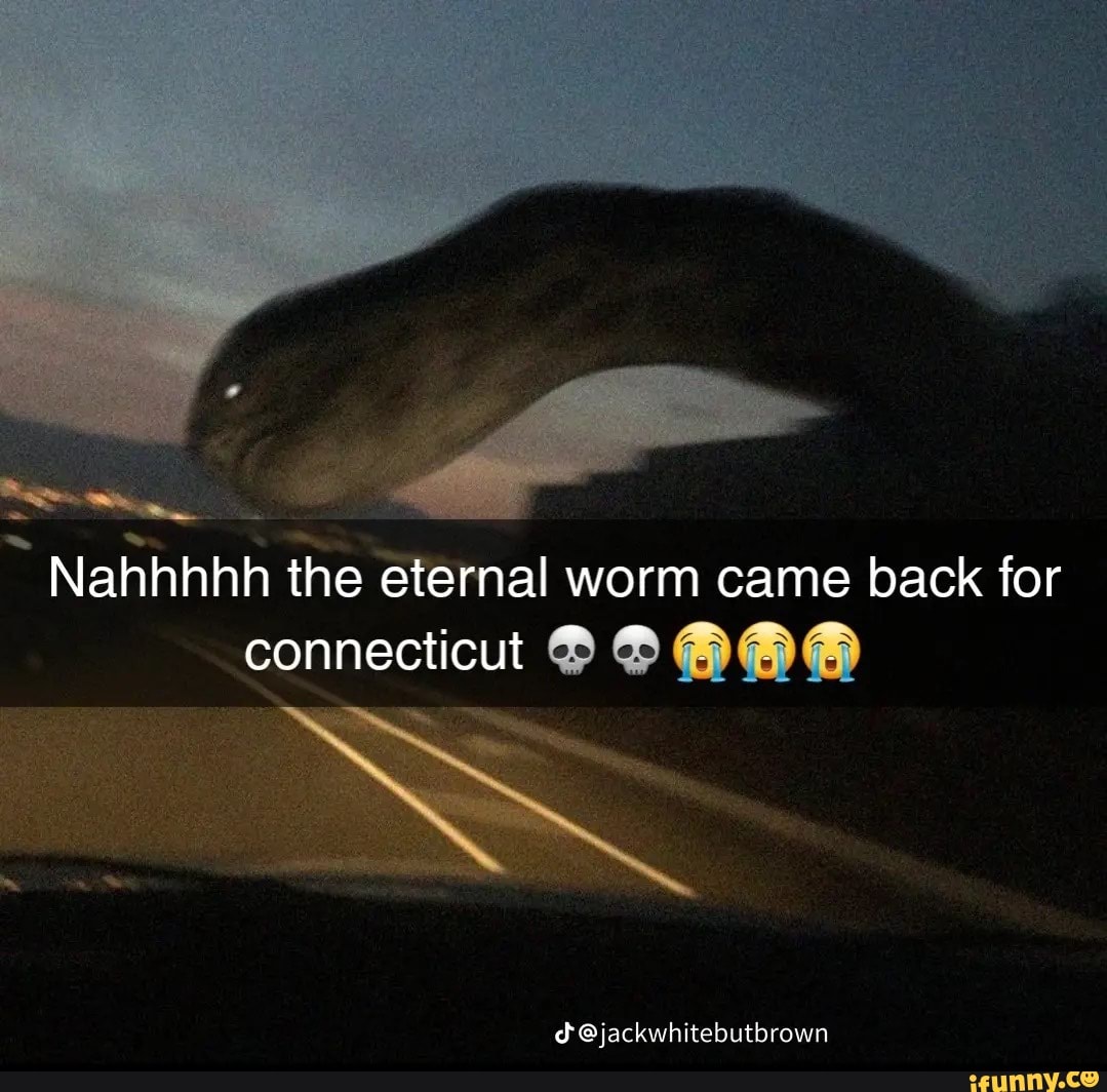 Nahhhhh the eternal worm came back for connecticut dd 