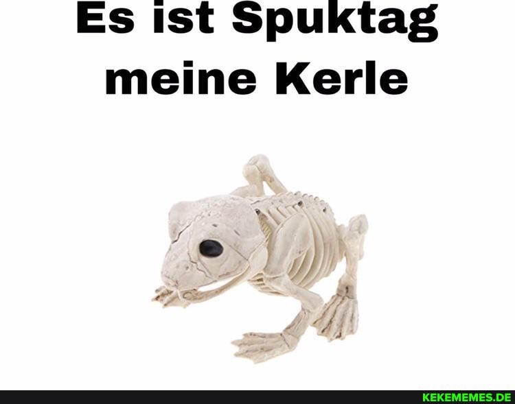Es ist Spuktag meine Kerle
AR