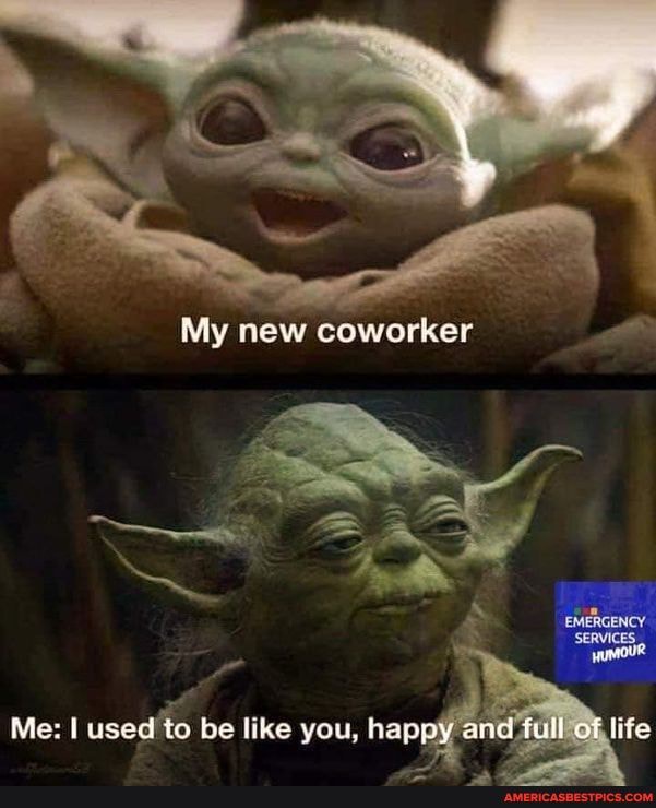 My new coworker
Me: I used to be like you, happy and full of live