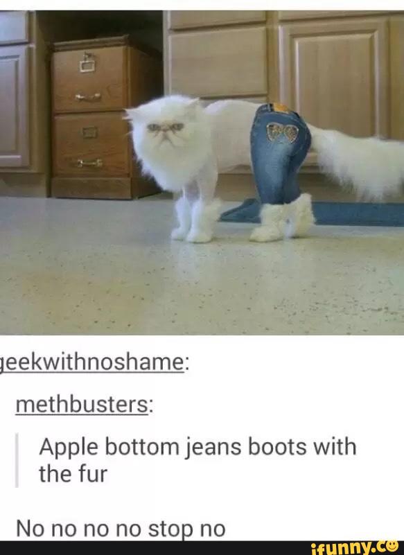 white cat boots