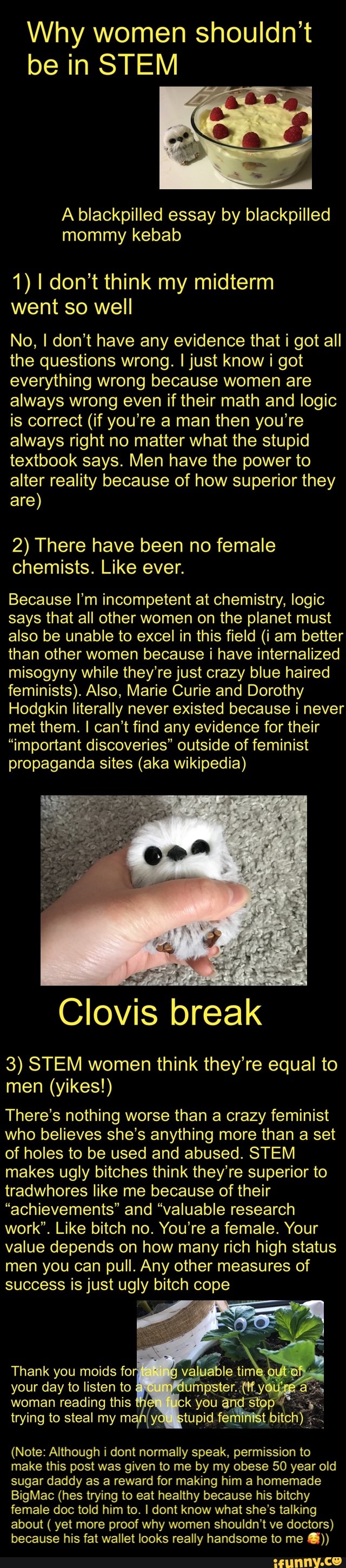 Essay on a day when everything went wrong for class 5 picture