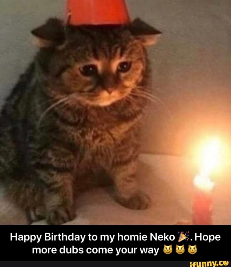 Happy Birthday to my homie Neko ยฟ%*. Hope - Happy Birthday to my homie Neko ๐. Hope more dubs come your way ๐ผ๐ผ๐ผ