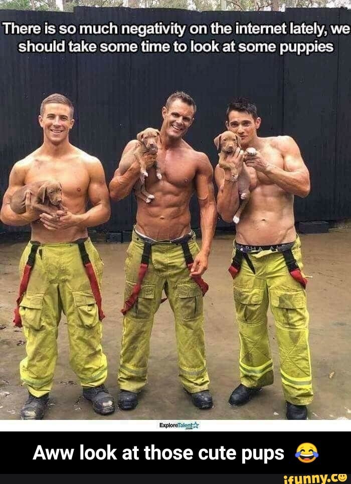 There is so much negativity on the intemet lately, we should take some time to look at some puppies
Aww look at those cute pups & - Aww look at those cute pups π