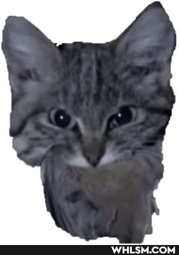 discord_emoji, emoji, discord
