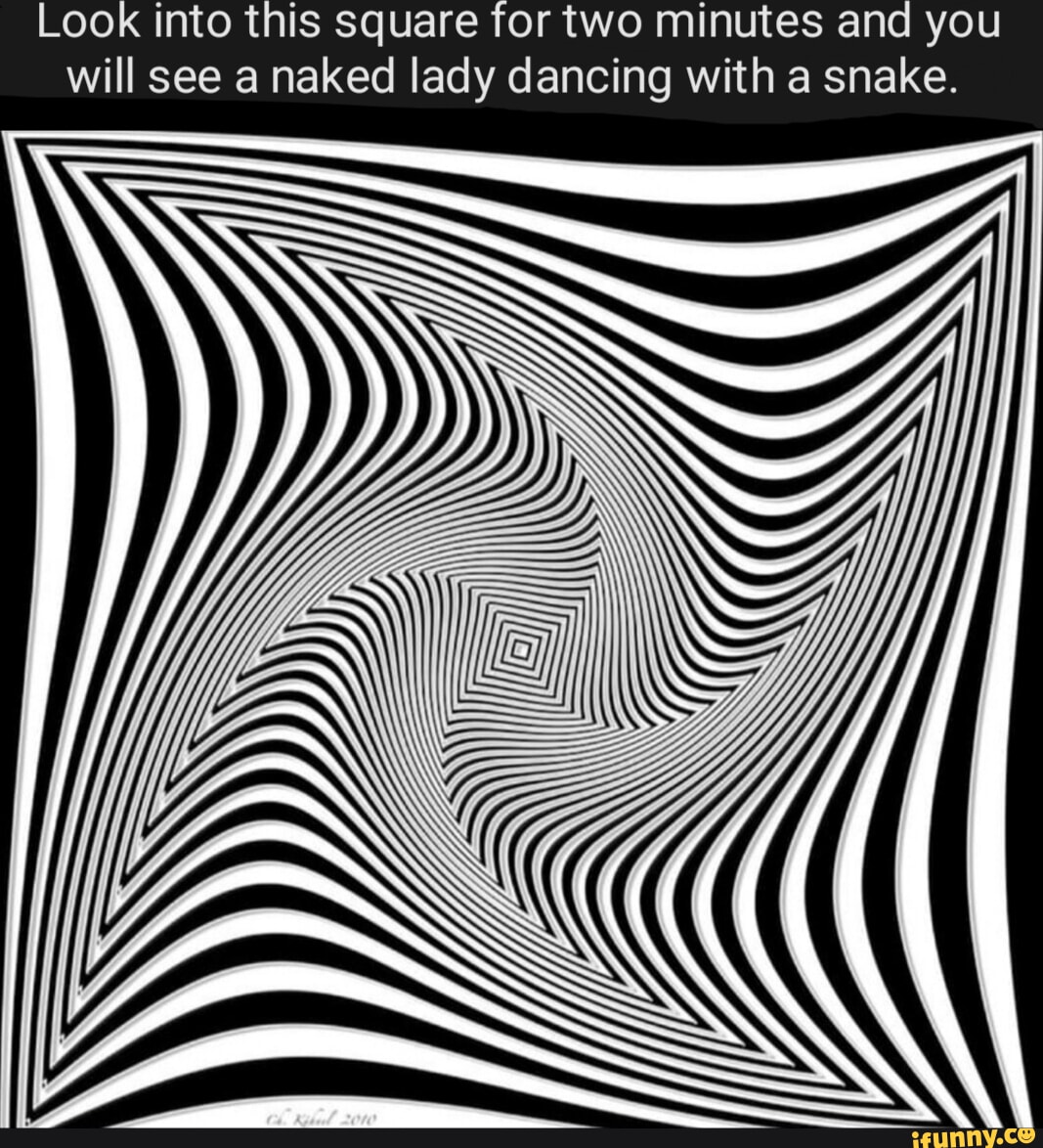 Look into this square for two minutes and yo see a naked lady dancing with  a snake. - iFunny