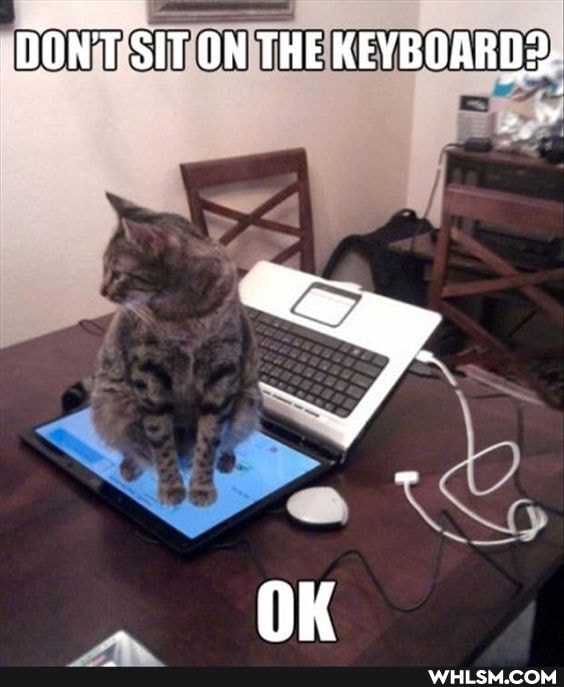 DONT SIT ON THE KEYBOARD2-