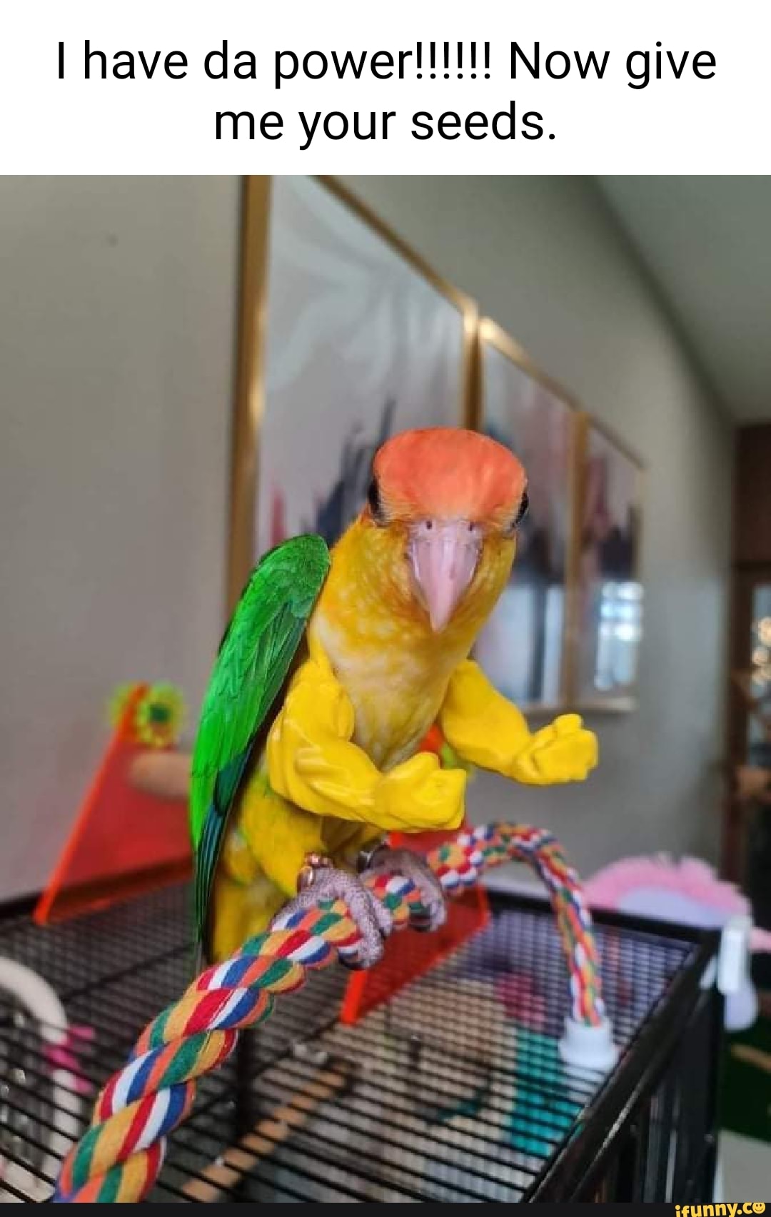 Chorizo memes. Best Collection of funny Chorizo pictures on iFunny