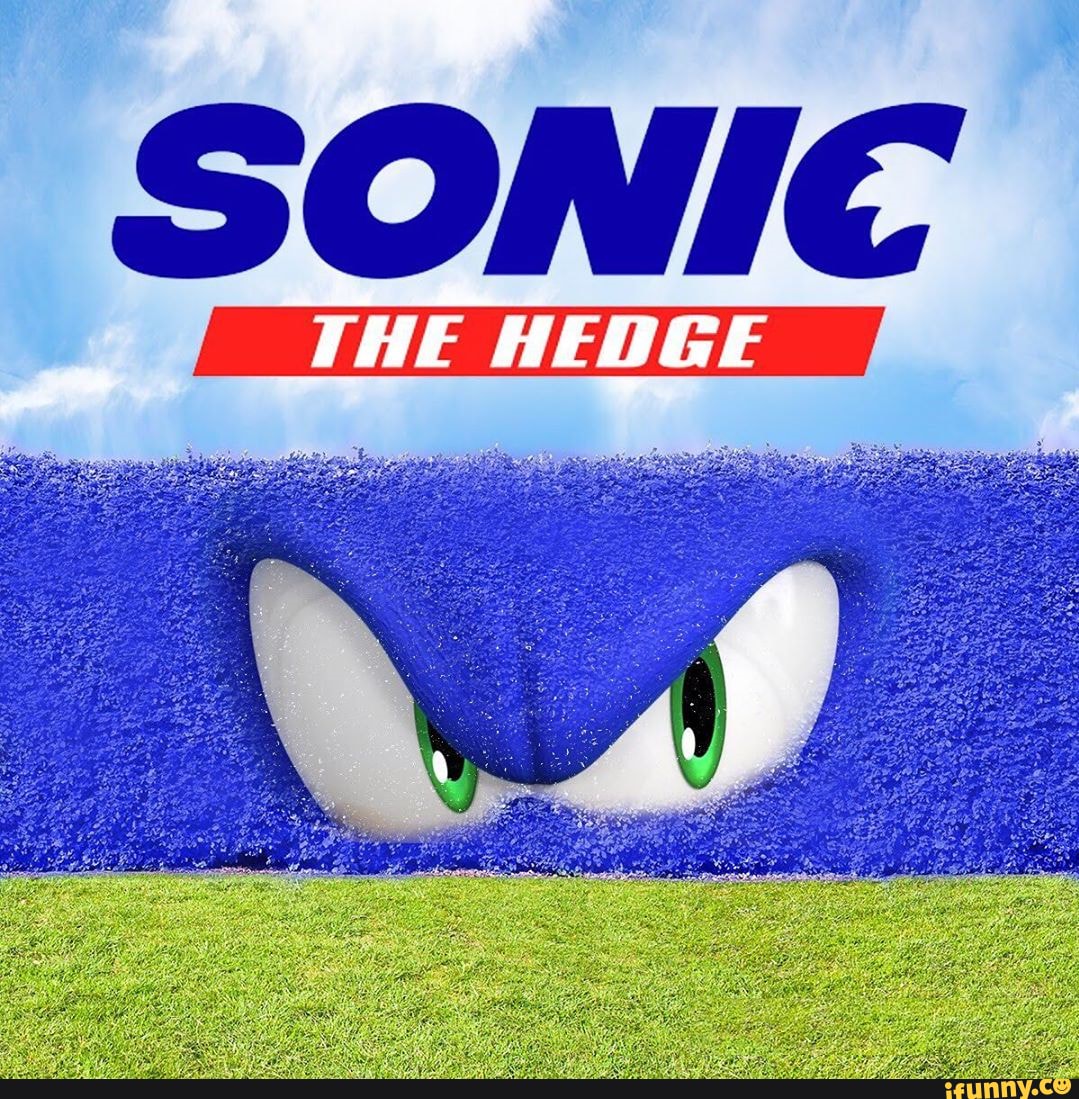 SONIC THE HEDGE - iFunny