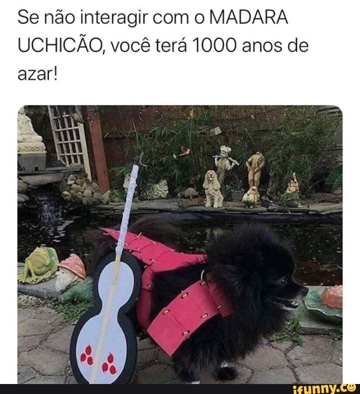 Se não interagir com o MADARA UCHICÃO, você terá 1000 anos de azar!