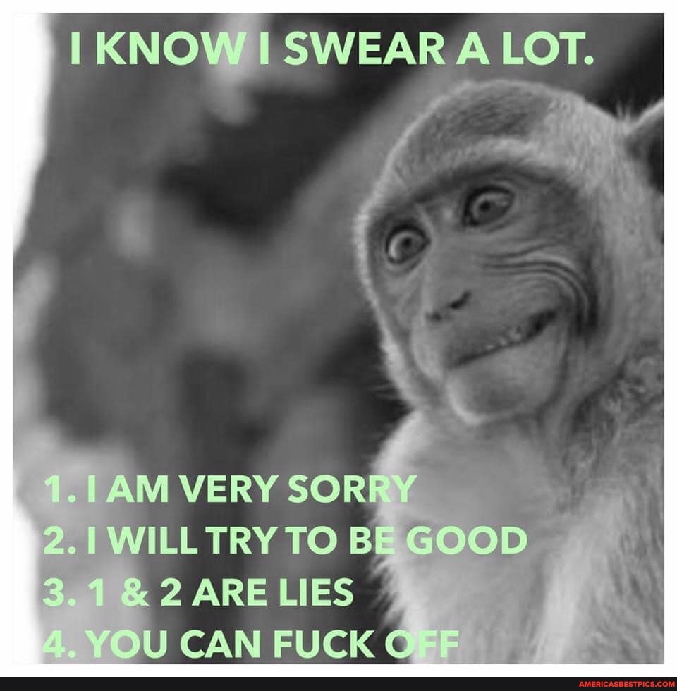 KNOW
KNOW SWEAR A LOT.
AM VERY 7
WILLTRY TO BE GOOD
LIES
OU CAN FUCK