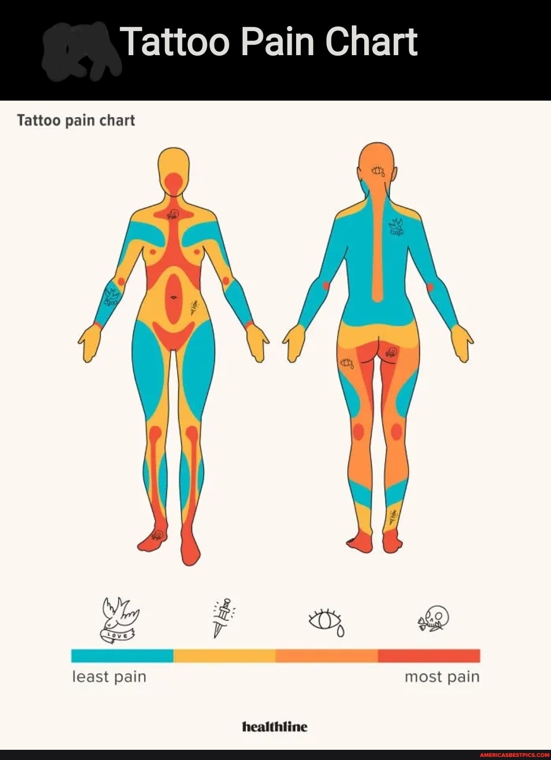 tattoo-pain-chart-tattoo-pain-chart-least-pain-most-pain-healthline