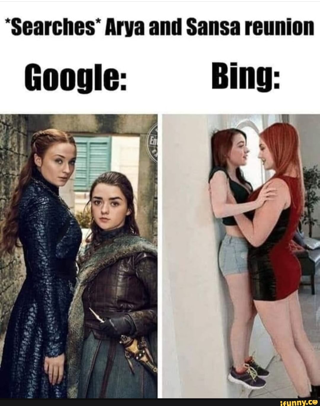 Searches Arya and Sansa reunion Google: - iFunny