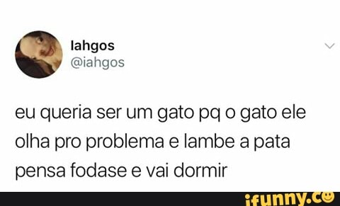 lahgos
@iahgos
eu queria ser um gato pq o gato ele
olha pro problema e lambe a pata
pensa fodase
e
vai dormir