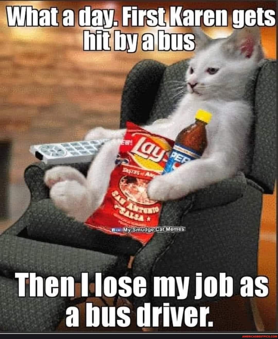 Smudge Cat Memes!
My
Then tlose my joh as bus driver.