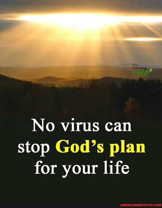 No virus can stop God's plan for your life
