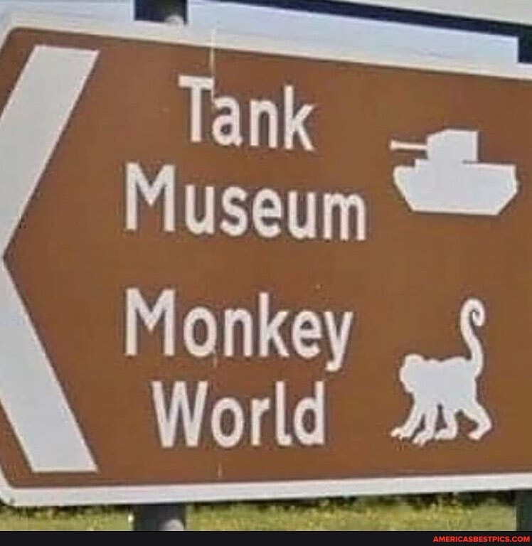 Tank Museum Monkey World America’s best pics and videos