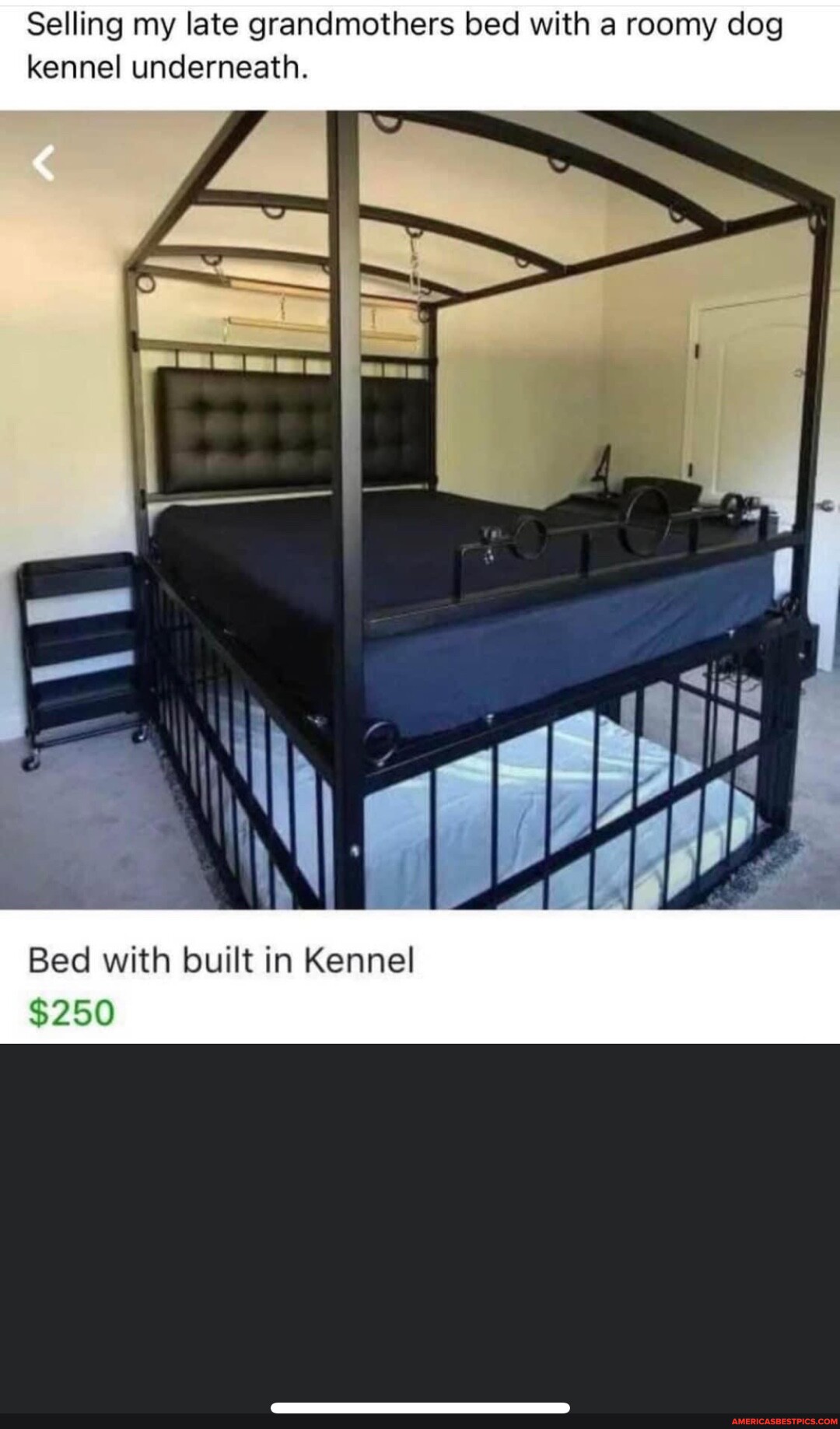 Bed with clearance dog kennel underneath