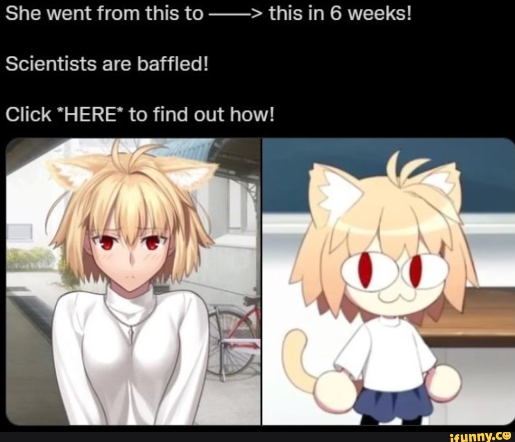 Tsukihime memes. Best Collection of funny Tsukihime pictures on iFunny