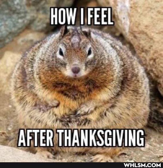 HOWIFEEL
AFTER THANKSGIVING