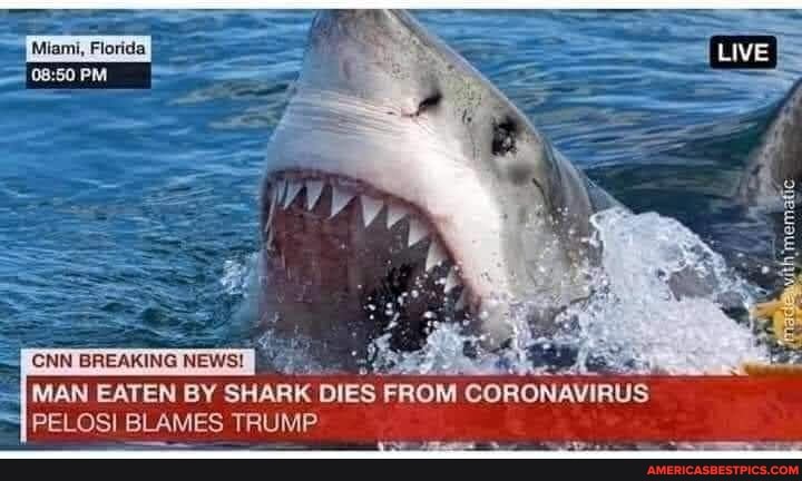 Miami, Florida
LIVE
MAN EATEN BY SHARK DIES FROM CORONAVIRUS PELOSI BLAMES TRUMP