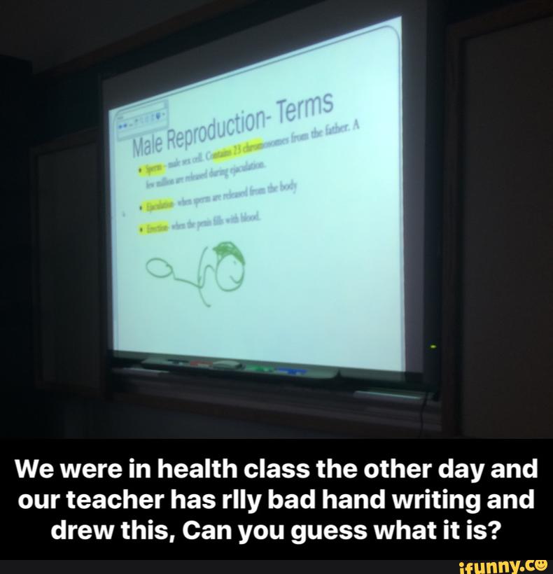 We were in health class the other day and
our teacher has rlly bad hand writing and
drew this, Can you guess what it is? - We were in health class the other day and our teacher has rlly bad hand writing and drew this, Can you guess what it is?