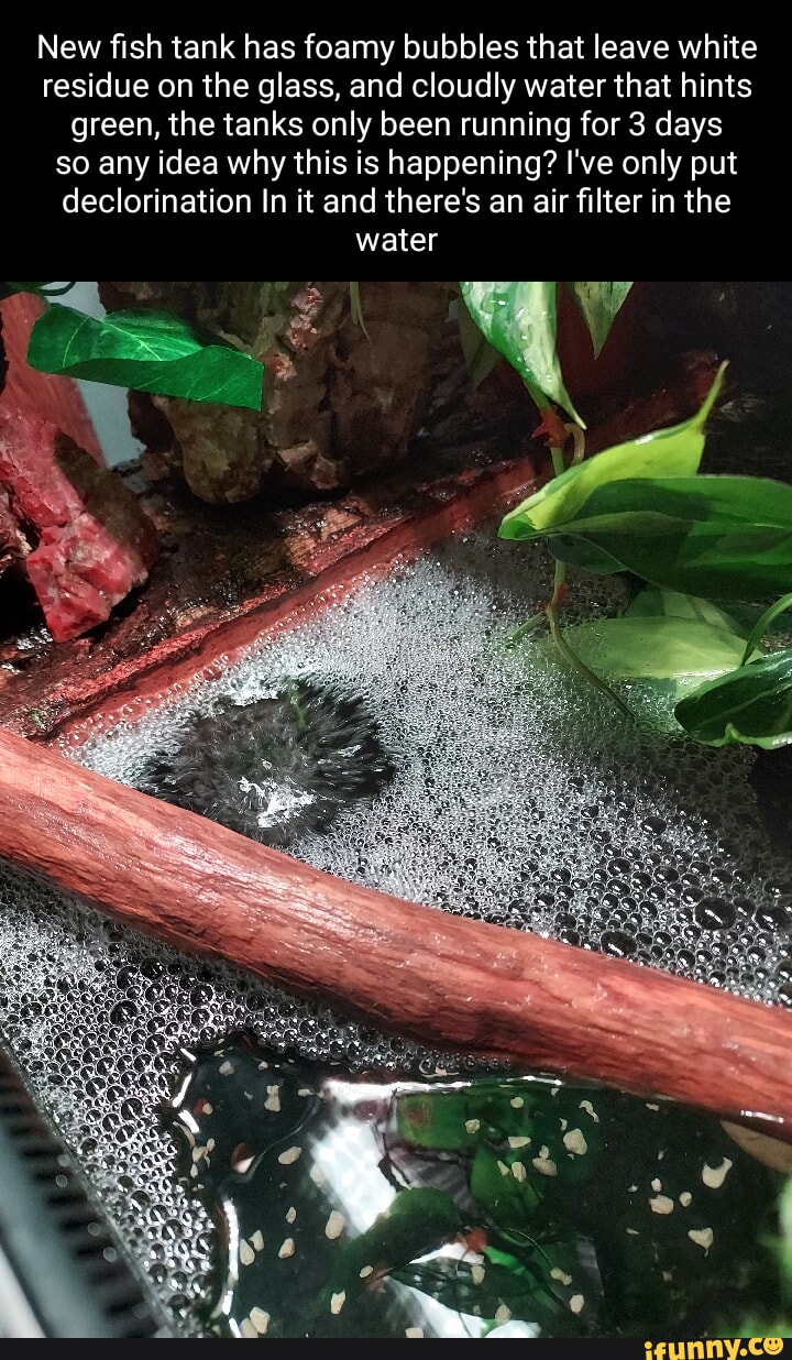 New fish tank has foamy bubbles that leave white residue on the glass, and cloudly water that