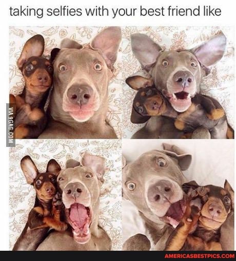 taking selfies with your best friend like