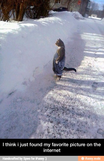 I think i just found my favorite picture on - I think i just found my favorite picture on the internet