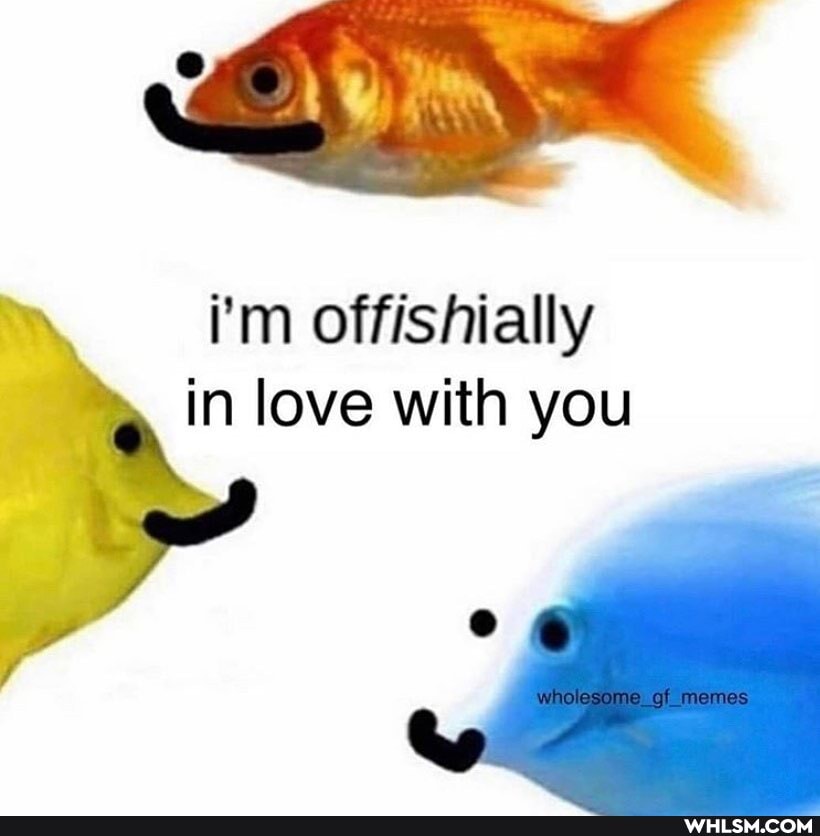 i'm offishially in love with you
Of