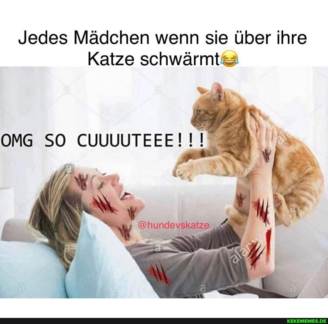 Jedes Mädchen wenn sie über ihre
Katze schwärmt&
OMG SO CUUUUTEEEN
N @hundevskaze
SAN