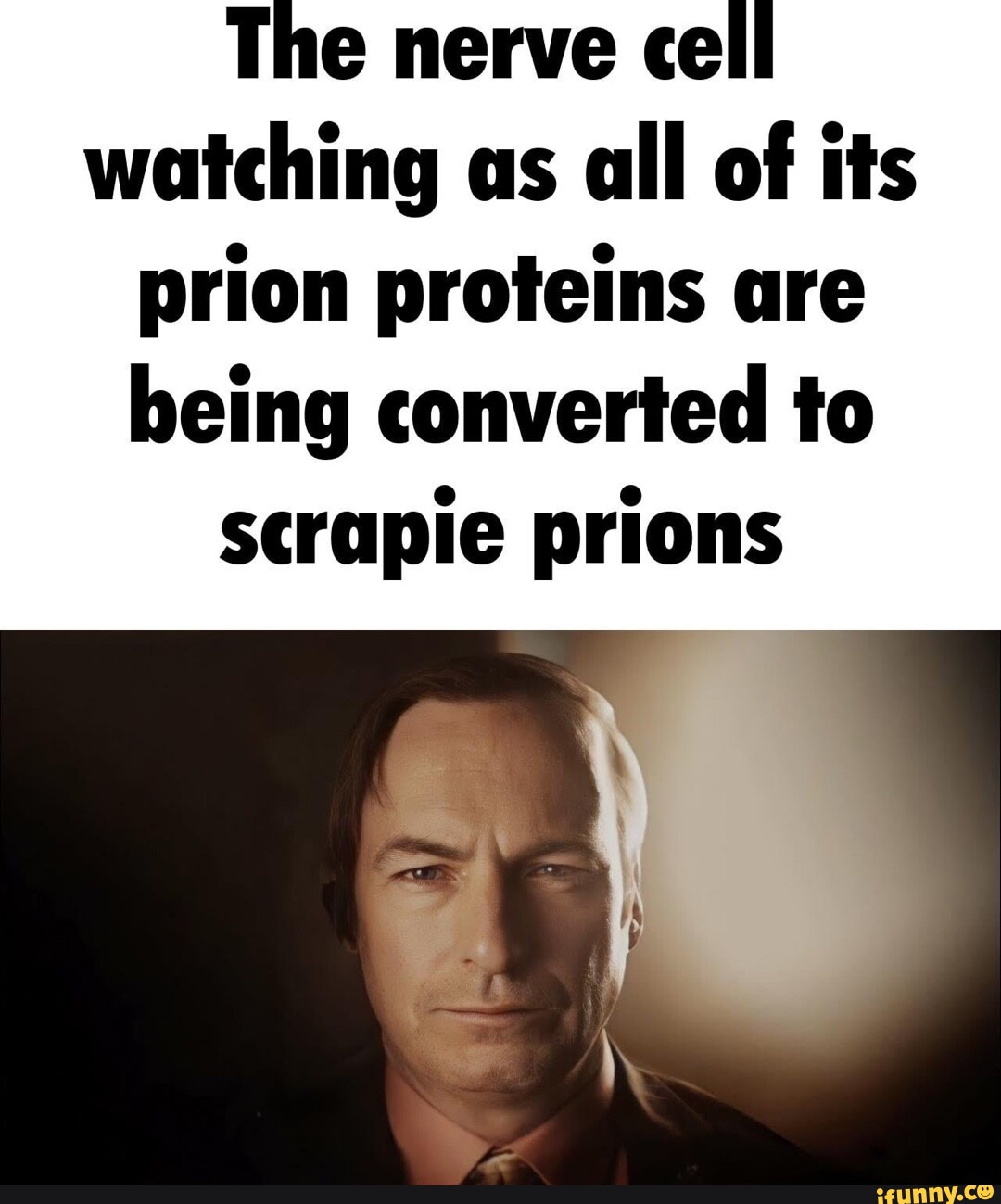 the-nerve-cell-watching-as-all-of-its-prion-proteins-are-being