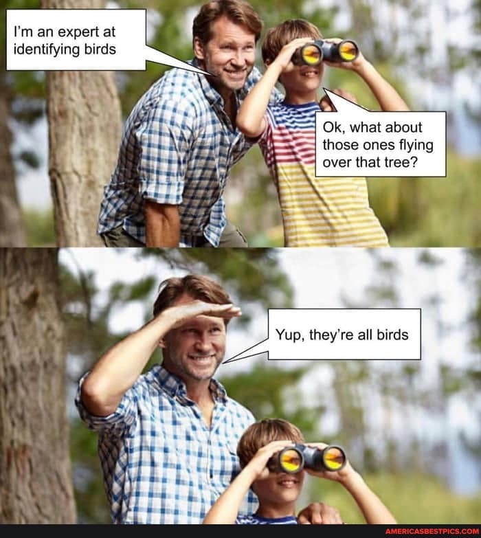I'm an expert at identifying birds
Ok, what about
those ones flying over that tree?